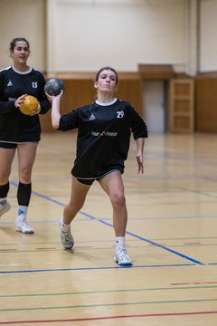 Bild 130 - wBJ TSV Ellerau - HSG Stoertal Hummeln : Ergebnis: 26:19